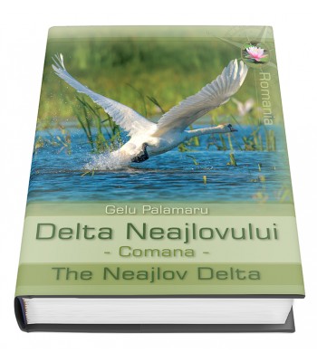 Delta Neajlovului - Comana
